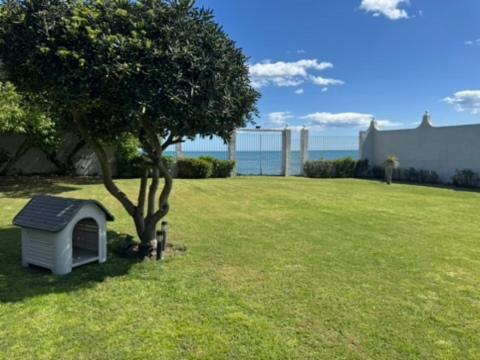 Mimosas House Marbella